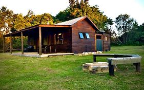 Pura Vida Forest Cabin